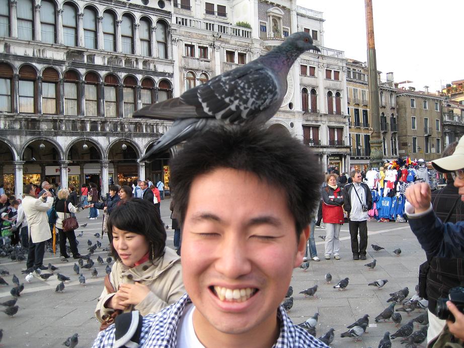 hato