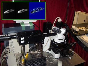 lock-on microscope