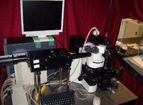 microscope.jpg