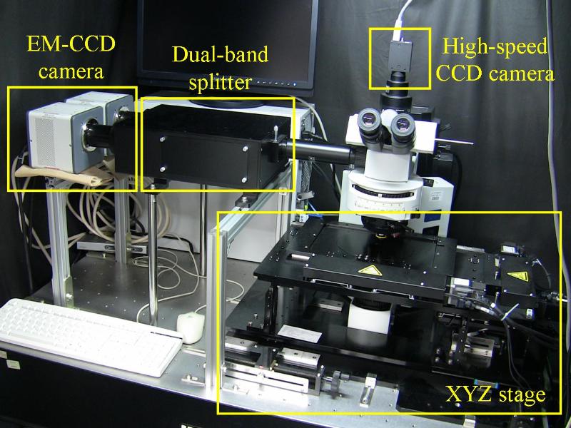 lock-on microscope