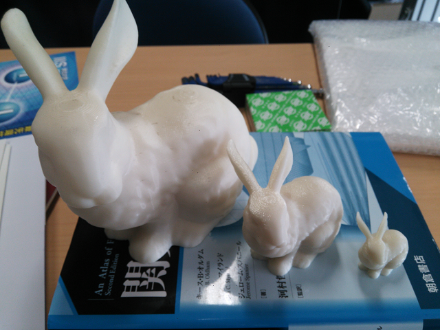 bunny